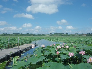 CIMG0108.JPG
