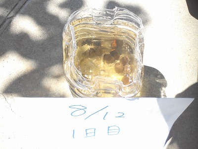 hday1.jpg