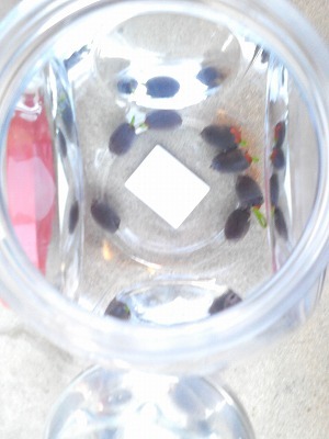 hday3.1.jpg