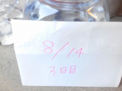 hday3.jpg